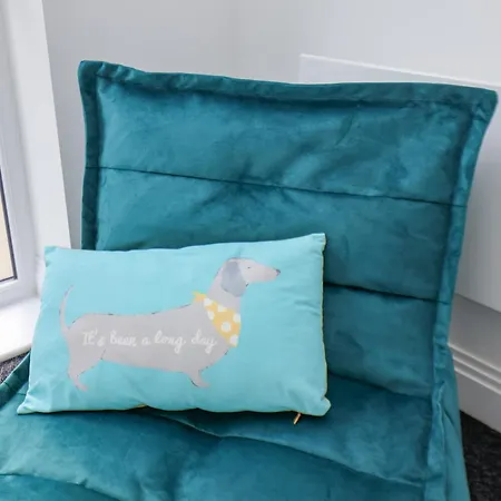 公寓 The Penthouse *